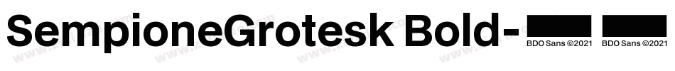 SempioneGrotesk Bold字体转换
